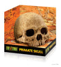 Exo Terra Primate Skull Terrarium Décor