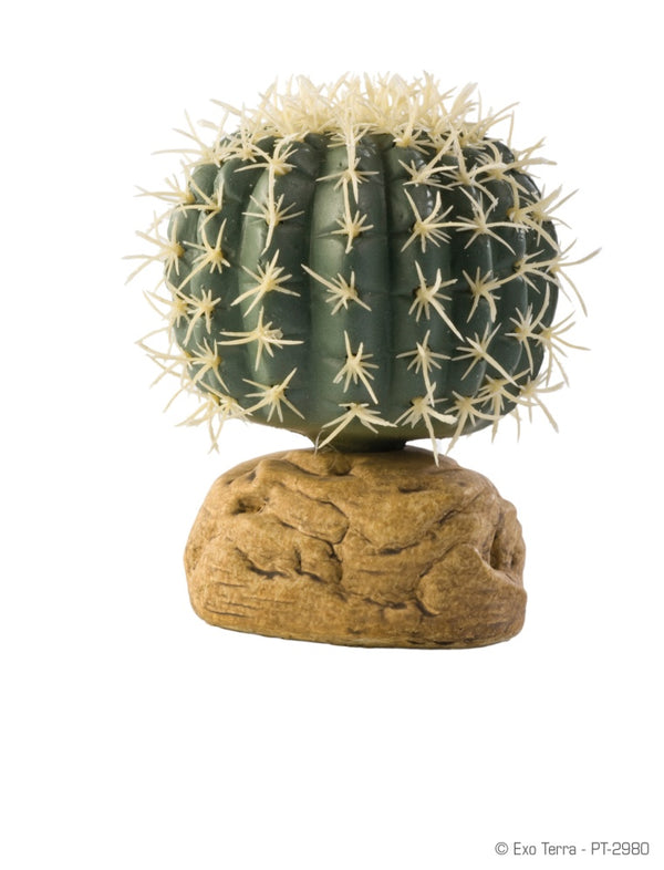 Exo Terra Barrel Cactus Terrarium Plant