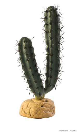 Exo Terra Desert Finger Cactus Terrarium Plant