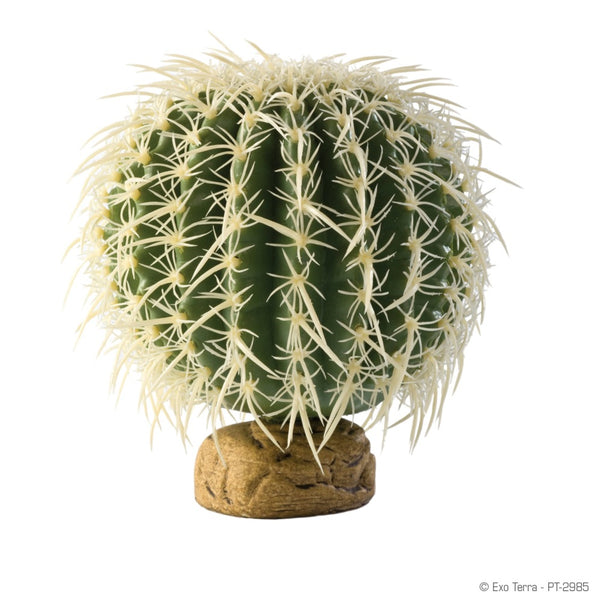 Exo Terra Plante cactus-baril pour terrarium