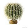 Exo Terra Plante cactus-baril pour terrarium