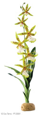 Exo Terra Spider Orchid Terrarium Plant