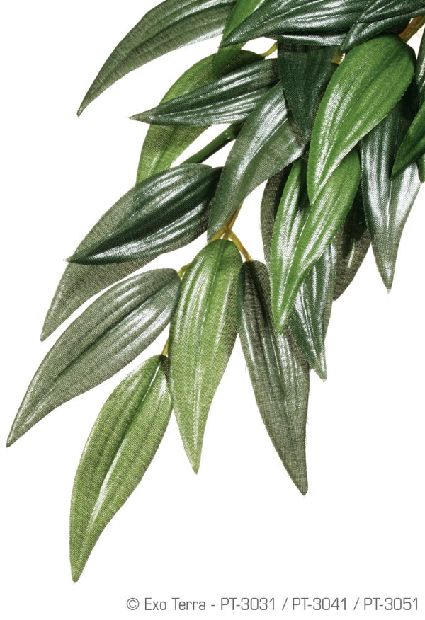 Exo Terra Hanging Rainforest Plant, Rucus