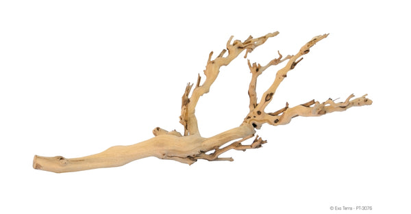 Exo Terra Forest Branch