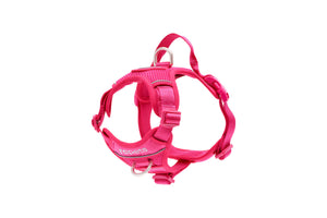 RC Pets Momentum Control Dog Harness, Azalea