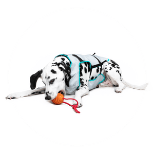 Suitical Gilet rafraîchissant sec pour chiens