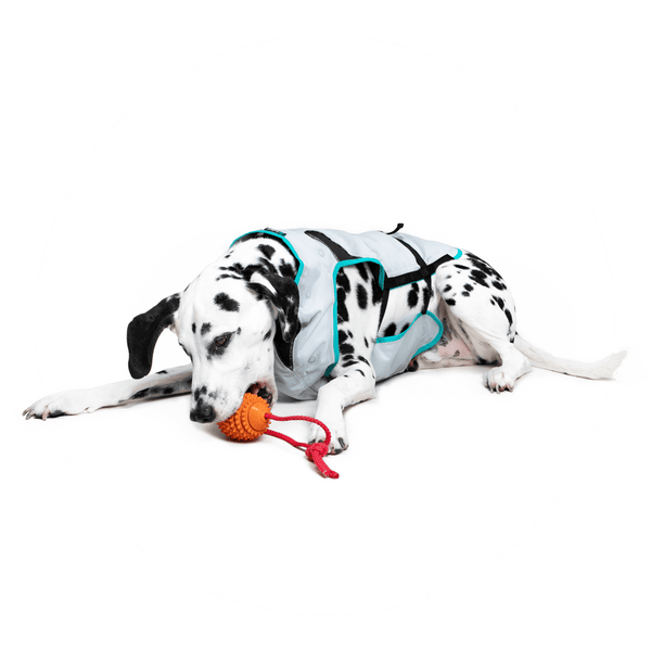 Suitical Dry Cooling Vest for Dogs