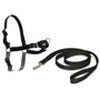 PetSafe Easy Walk Dog Harness & Lead, Black