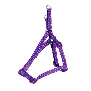 Coastal Comfort Wrap Adjustable Dog Harness, Special Paws