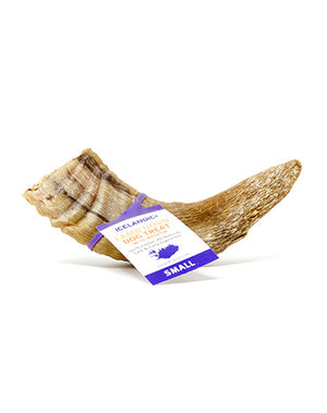 Icelandic+ Lamb Horn with Marrow Dog Treats, Small