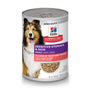 Hill's Science Diet Adult Sensitive Stomach & Skin Grain-Free Salmon & Vegetable Entree Wet Dog Food