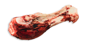 K9 Choice Foods Os de dinosaure au bœuf