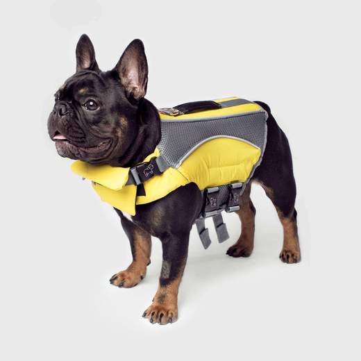 Canada Pooch Wave Rider Life Jacket for Dogs, Yellow