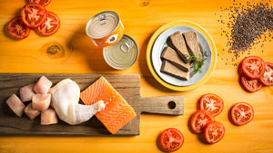 Fromm Four Star Grain Free Duck A La Veg Pate Nourriture pour chat en conserve