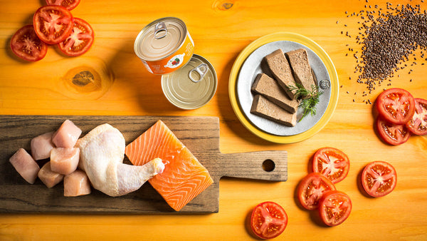 Fromm Four Star Grain Free Duck A La Veg Pate Nourriture pour chat en conserve