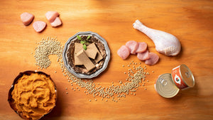 Fromm Turkey & Pumpkin Pate Canned Dog Food