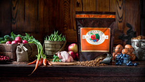 Fromm Four-Star Nutritionals Game Bird Recipe Dry Cat Food