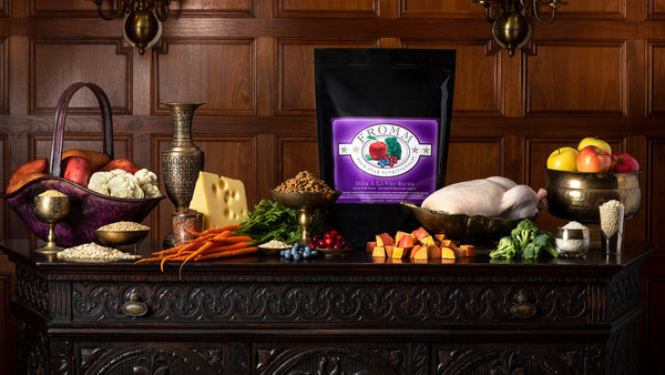 Fromm Four-Star Nutritionals Duck A La Veg Dry Dog Food
