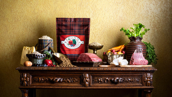 Fromm Four-Star Nutritionals Highlander Beef, Oats, & Barley Dry Dog Food