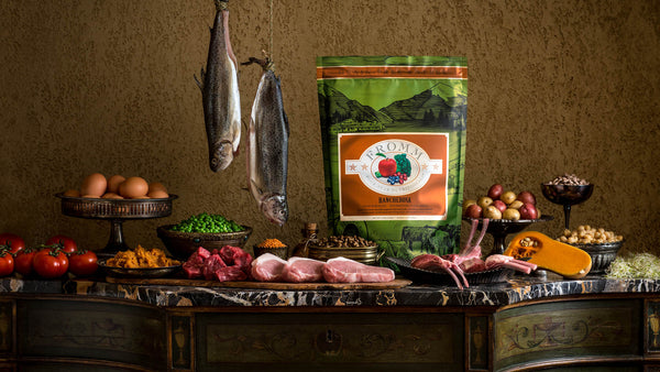 Fromm Four-Star Nutritionals Rancherosa Dry Dog Food