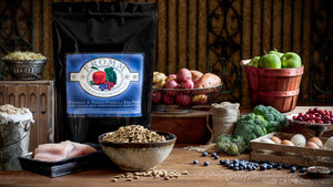 Fromm Four-Star Nutritionals Whitefish & Potato Dry Dog Food