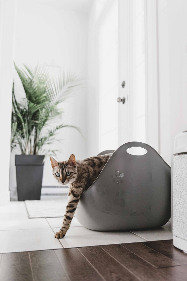 Litterlocker Bac À Litiere Avec Pelle, Gris