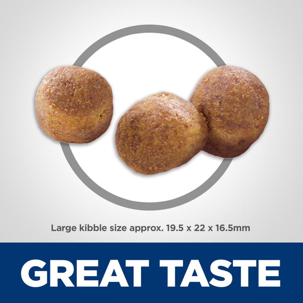 Hill's Science Diet Soin Buccal Adulte Croquettes pour chien