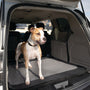Bergan Auto Cargo Floor Cover, Grey/Black, 50-in x 50-in