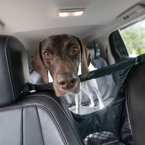 Bergan Auto Travel Dog Barrier, Black