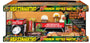 Zoo Med Reptihabitat Premium Reptile Habitat Bearded Dragon Kit