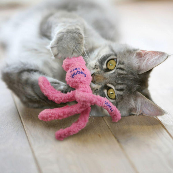KONG Wubba Hugga Cat Toy, Color Varies
