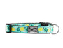 RC Pets Clip Dog Collar, Pineapple
