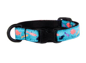 RC Pets Collier sécuritaire pour chats, Banc de poissons, 8-10-in