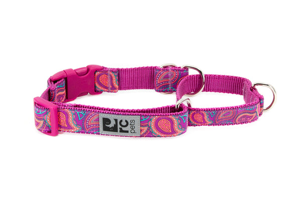 RC Pets Easy Clip Web Training Dog Collar, Bright Paisley