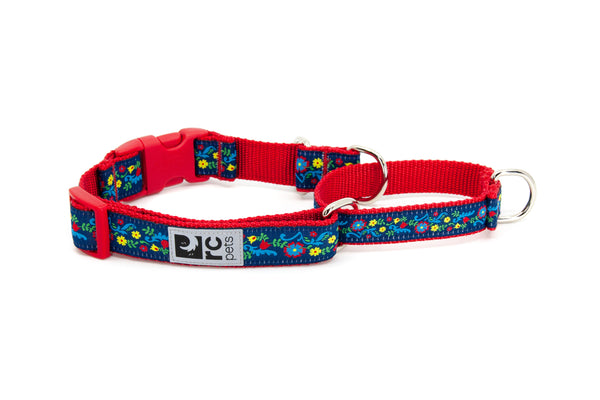 RC Pets Easy Clip Web Training Dog Collar, Feeling Folksy