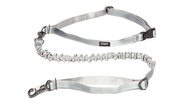 Stunt Puppy Stunt Runner Dog Leash, Silver, 1-in