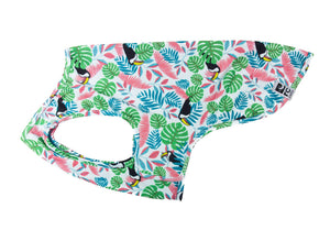 RC Pets Zephyr Cooling Vest for Dogs, Toucan