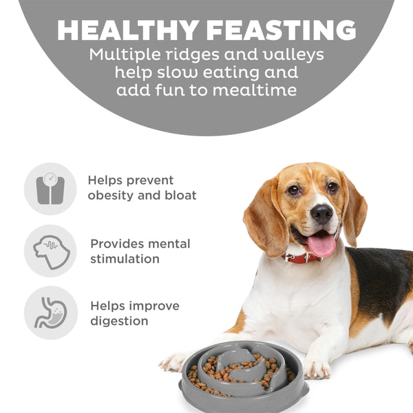 Outward Hound Fun Feeder Slo Bowl Dog Slow Feeder, Grey