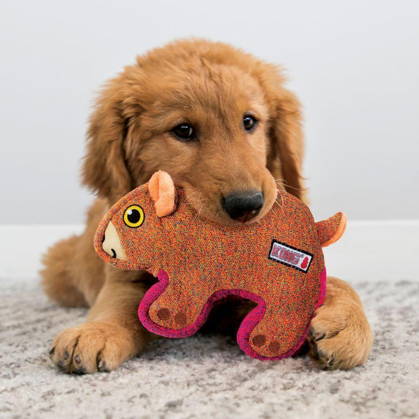 KONG Pipsqueaks Bear Dog Toy