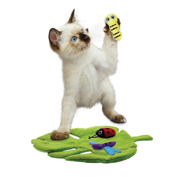 KONG Pull-A-Partz Bugz Jouet pour chat