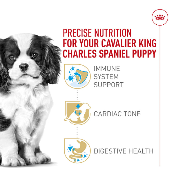 Royal Canin Breed Health Nutrition Cavalier King Charles Puppy Dry Dog Food, 3-lb