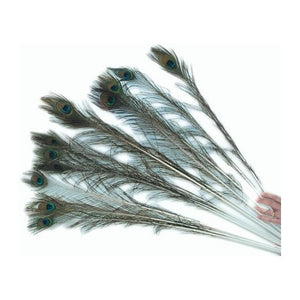 Imperial Cat Peacock Feather Cat Toy