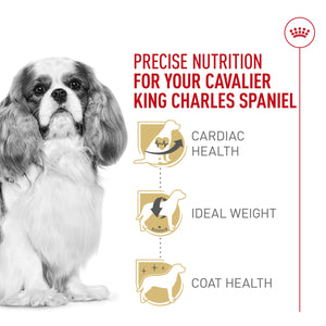 Royal Canin Breed Health Nutrition Cavalier King Charles Adult Dry Dog Food