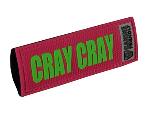 RC Pets Bark Notes Dog Collar Patch, Cray Cray
