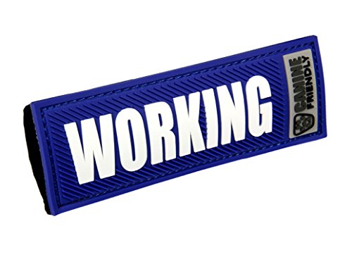 RC Pets Bark Notes Dog Collar Patch, Working