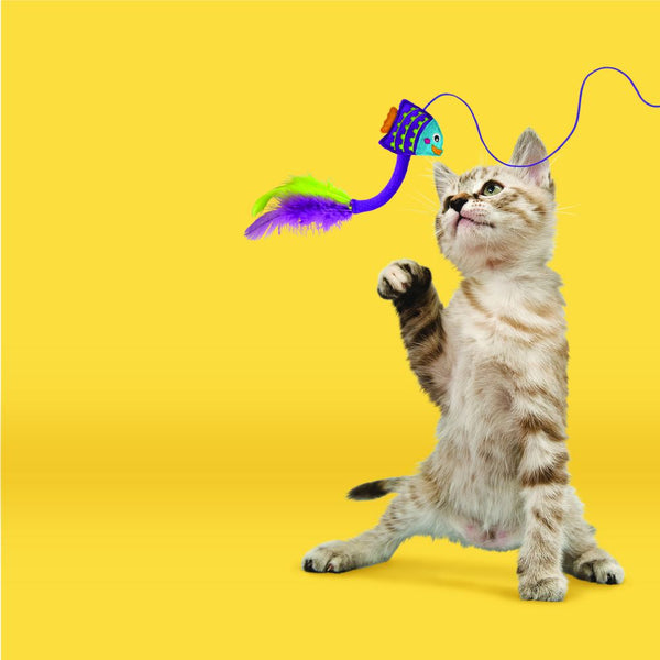 KONG Tropics Fish Teaser Cat Toy, Purple