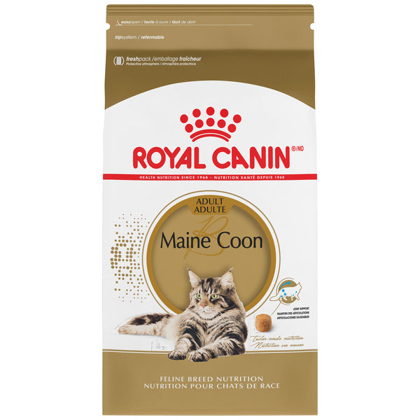 Royal Canin Feline Breed Nutrition Maine Coon Adult Dry Cat Food