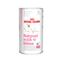 Royal Canin BABYCAT MILK – lactoremplaceur pour chatons