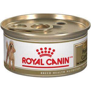Royal Canin Breed Health Nutrition Poodle Adult Loaf in Gravy Canned Wet Dog Food