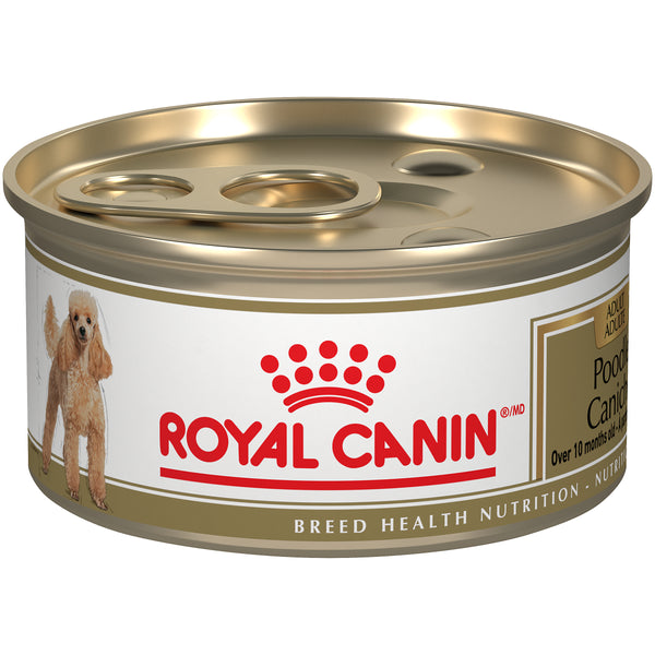 Royal Canin Breed Health Nutrition Poodle Adult Loaf in Gravy Canned Wet Dog Food
